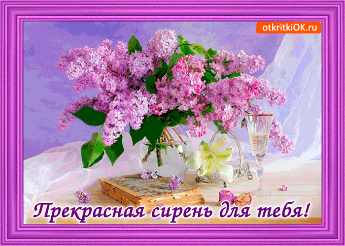 Открытка прекрасная сирень для тебя