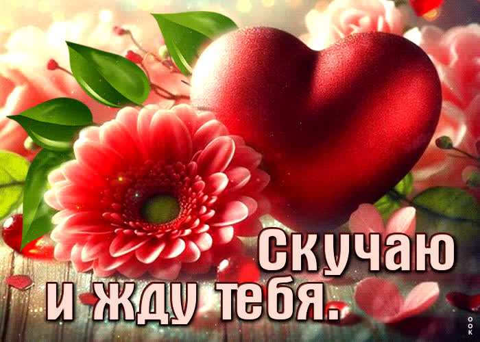 Picture прекрасная цветочная гиф-открытка скучаю и жду тебя
