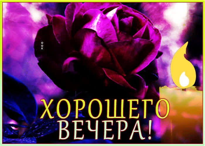 Postcard прекрасная и легкая открытка с цветком хорошего вечера