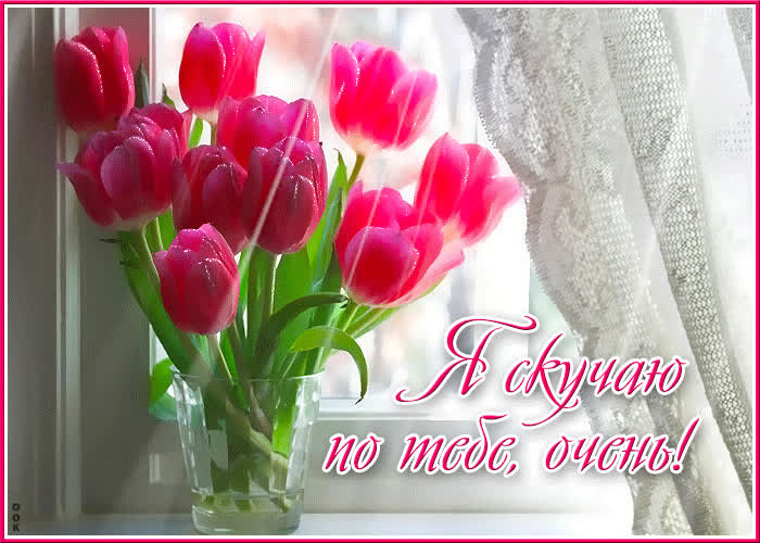 Postcard прекрасная и теплая гиф-открытка я скучаю по тебе