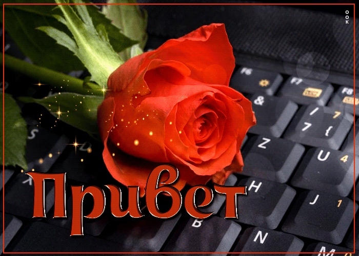 Postcard прекрасная и увлекательная гиф-открытка с розой привет