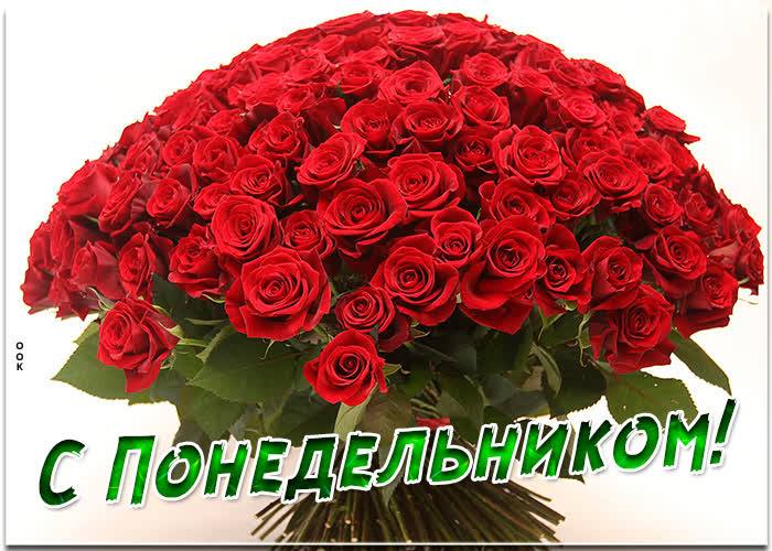 Картинка прекрасная картинка с понедельником с розами