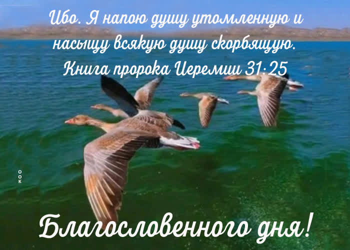 Picture прекрасная картинка с пожеланием благословенного дня!