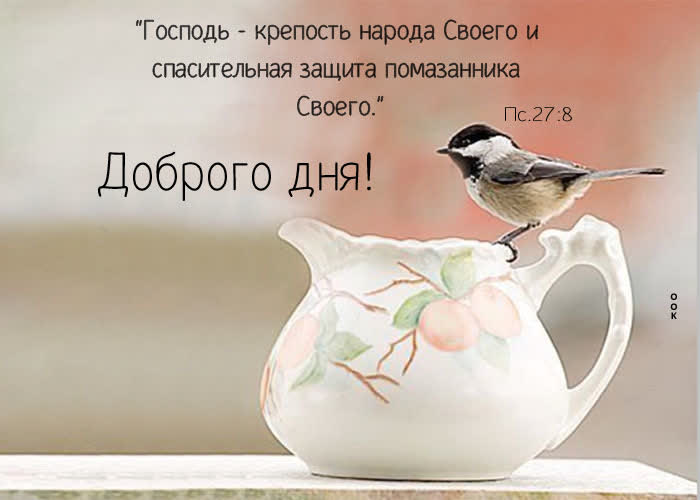 Picture прекрасная картинка с птичкой доброго дня!