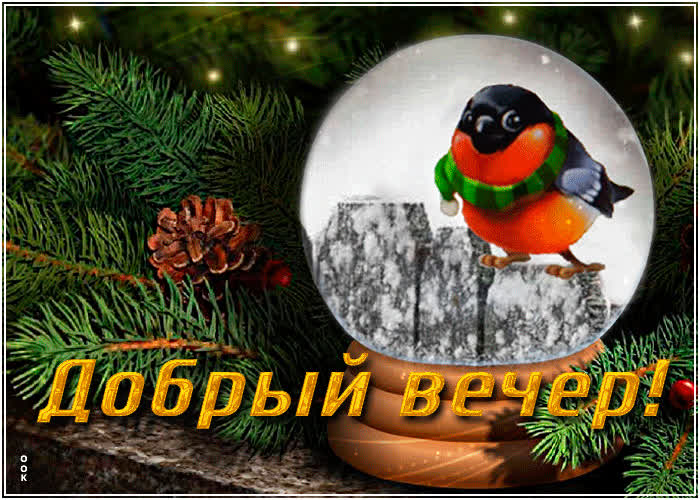Картинка прекрасная открытка добрый вечер с птичкой
