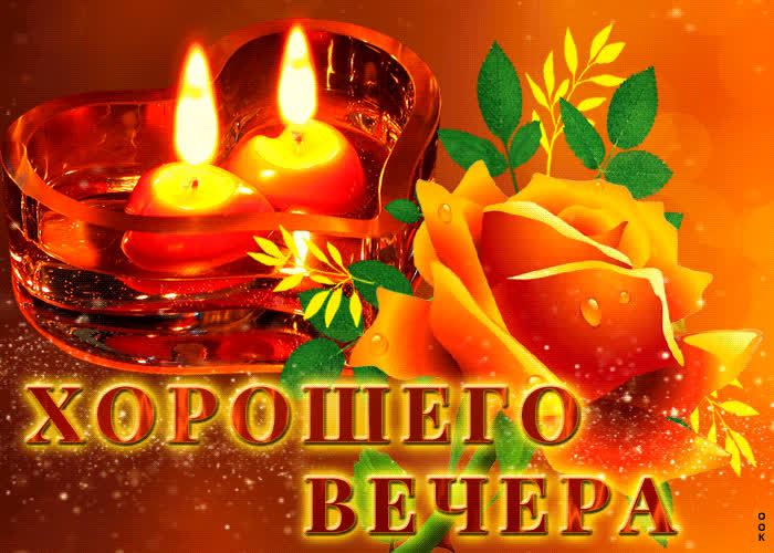 Postcard прекрасная открытка с оранжевой розой хорошего вечера!