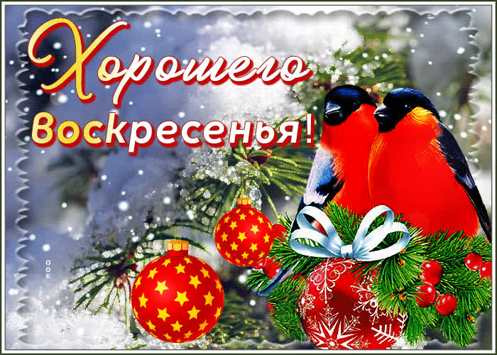 Postcard прекрасная открытка с птичками хорошего воскресенья!