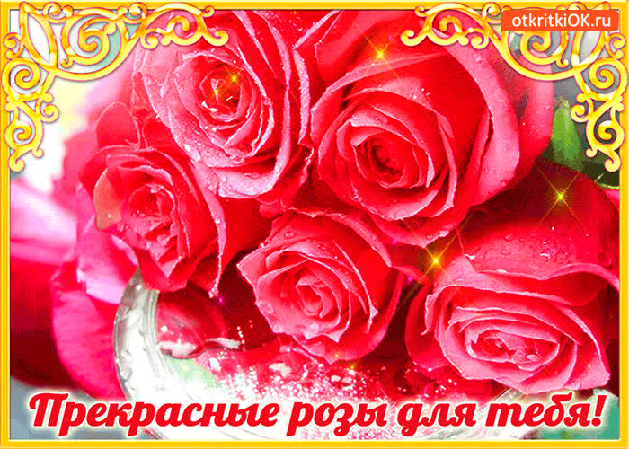 Картинка прекрасные розы только для тебя