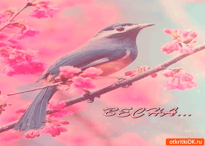 Картинка прекрасный шум весны