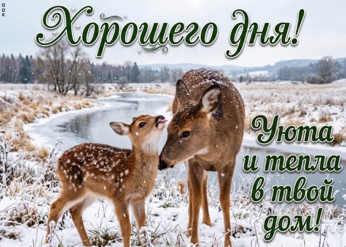 Postcard прекрасного дня. гармонии, приятных моментов и хороших новостей.
