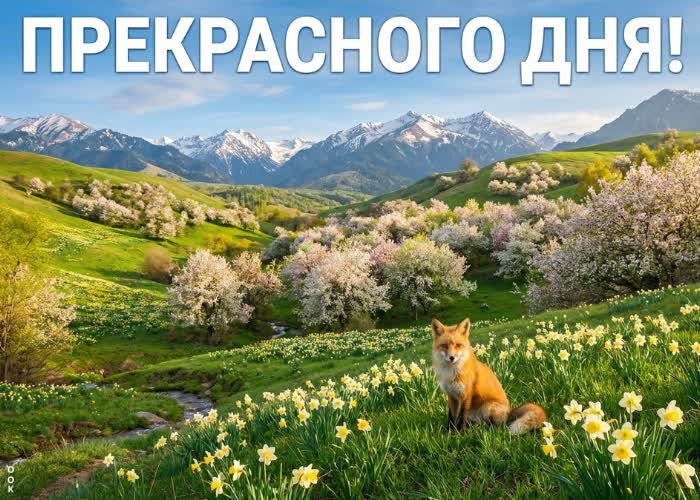 Postcard прекрасного дня! пусть он принесёт радость и успех