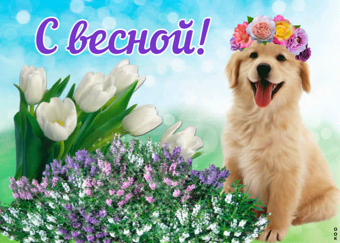 Картинка прекрасного и солнечного весеннего настроения