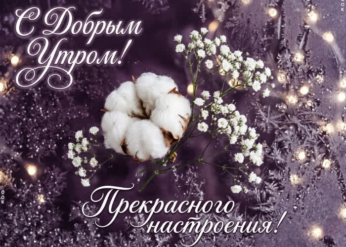 Picture прекрасного настроения этим утром