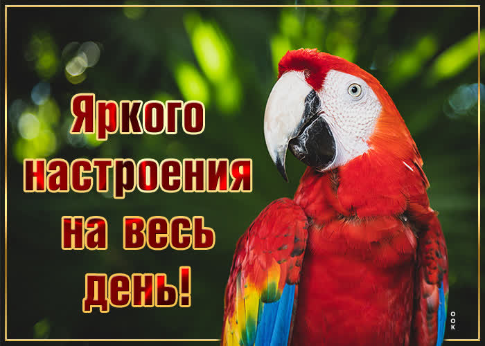 Картинка прекрасного настроения желаю вам