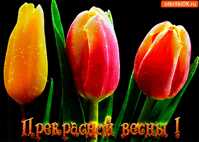 Картинка прекрасной весны