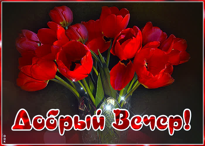 Postcard прелестная открытка добрый вечер! с букетом тюльпанов