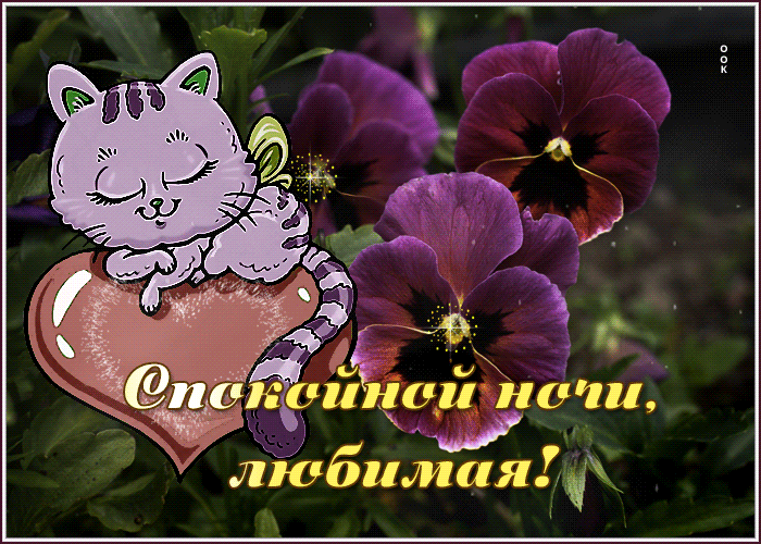 Picture прелестная открытка с кошечкой спокойной ночи, любимая