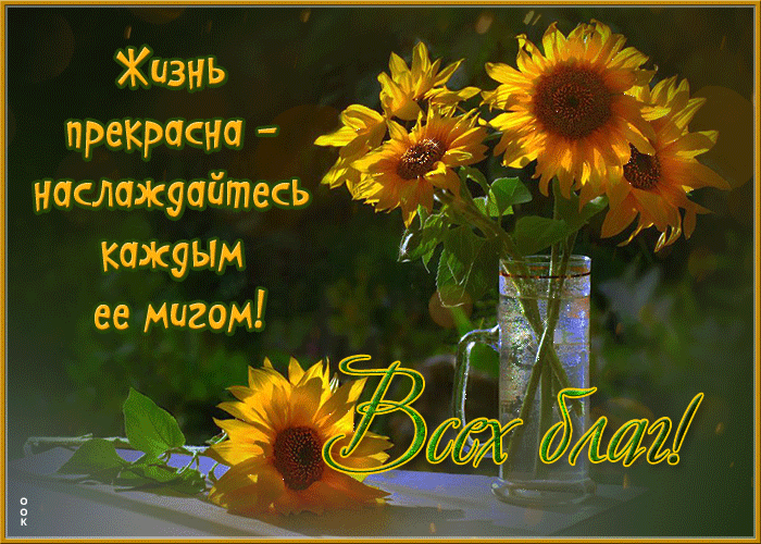 Picture прелестная открытка с подсолнухами всех благ!