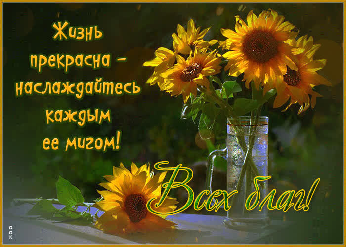 Picture прелестная открытка с подсолнухами всех благ!