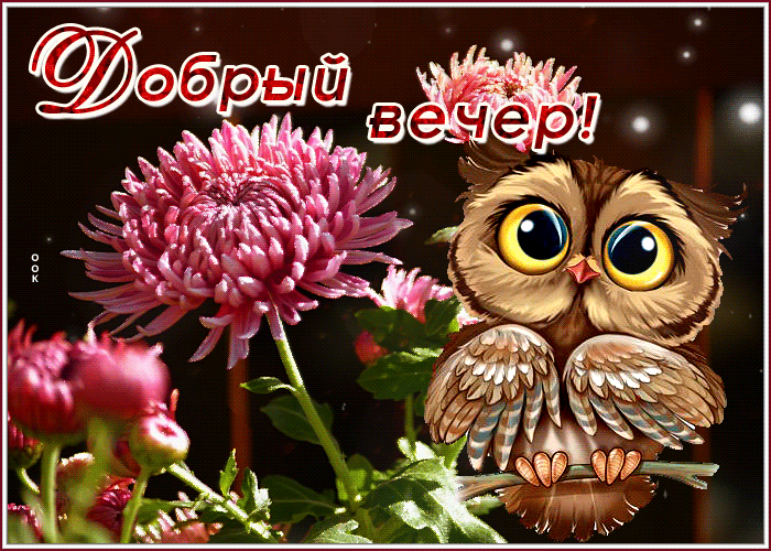 Postcard прелестная открытка с совенком добрый вечер!