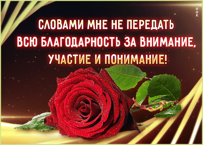 Picture прелестная открытка словами не передать всю благодарность