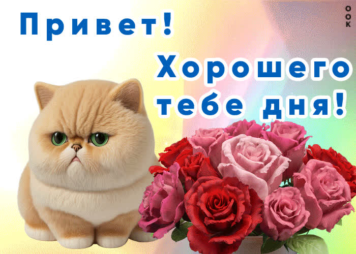 Postcard превосходная гиф-открытка привет! хорошего тебе дня