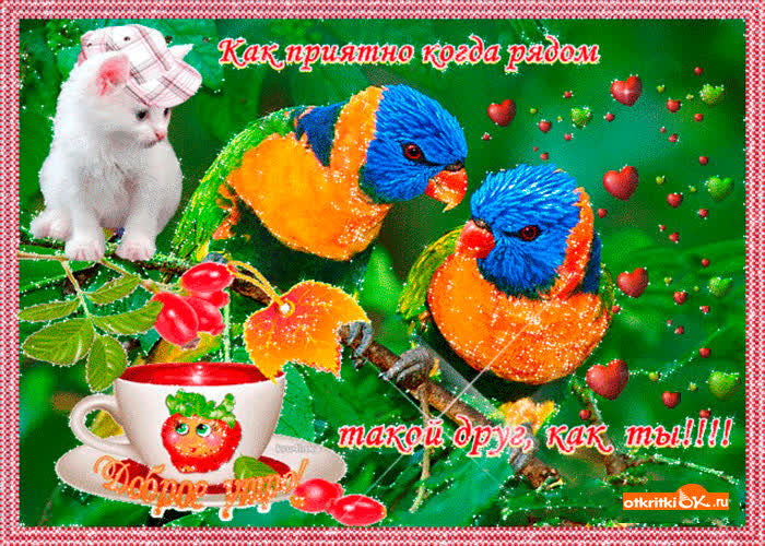 Картинка приятно когда рядом такой друг