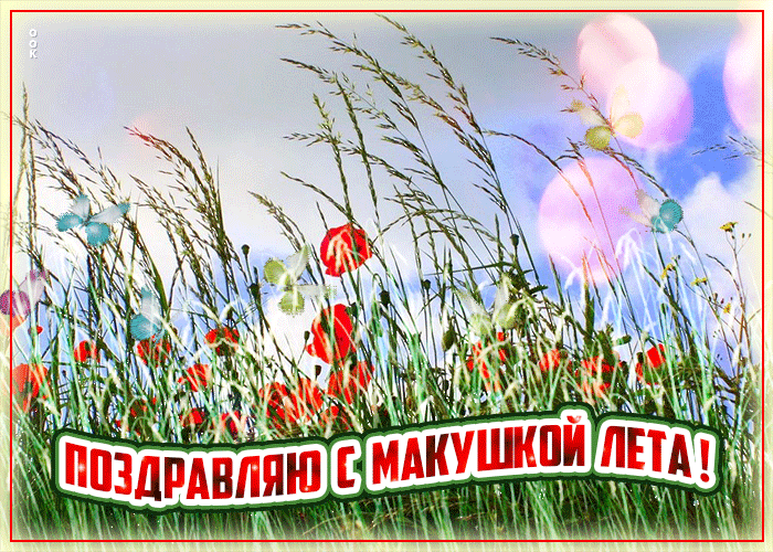 Картинка прикольная открытка макушка лета