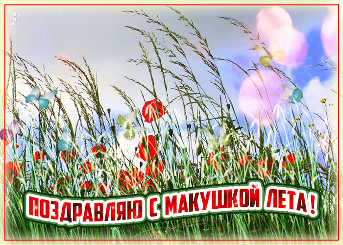 Картинка прикольная открытка макушка лета