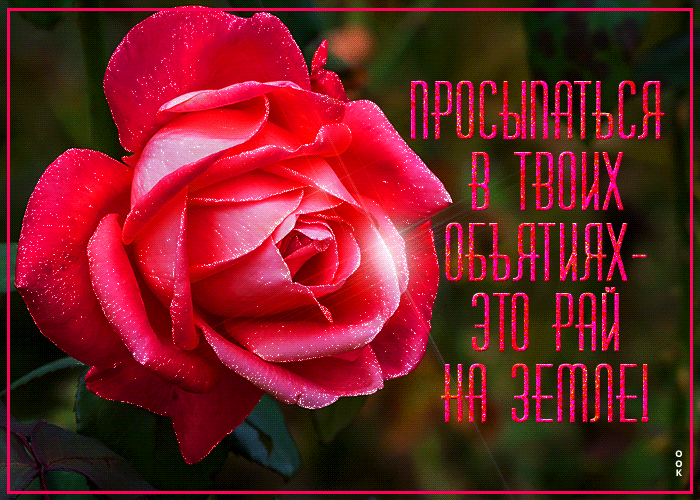 Картинка прикольная открытка обнимаю