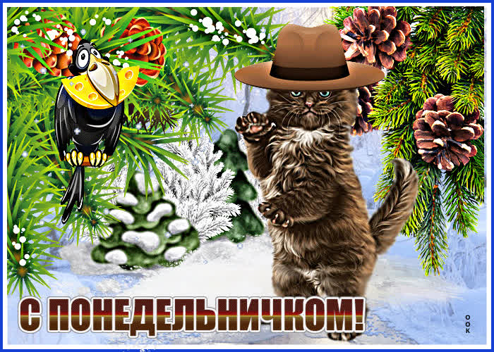 Postcard прикольная открытка с котиком с понедельничком!