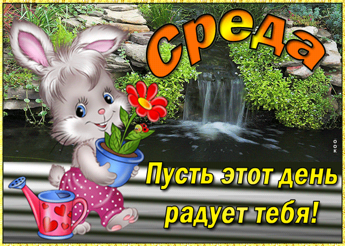 Открытка прикольная открытка со средой