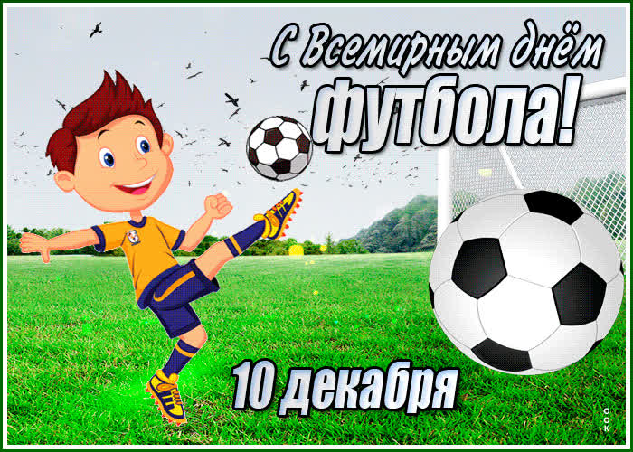 Картинка прикольная картинка всемирный день футбола