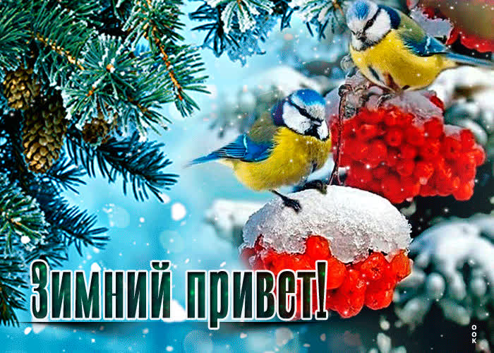 Картинка прикольная открытка зимний привет
