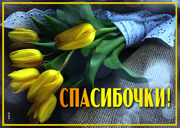 Картинка прими моё искреннее спасибо