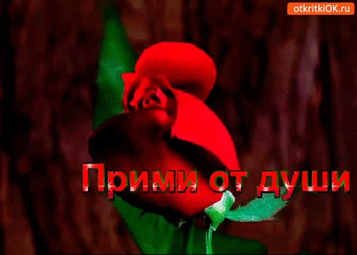 Картинка прими розу от души