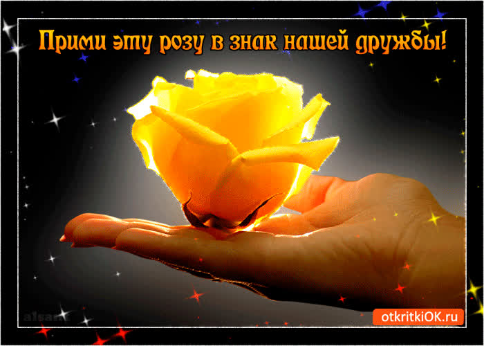 Картинка прими розу в знак дружбы