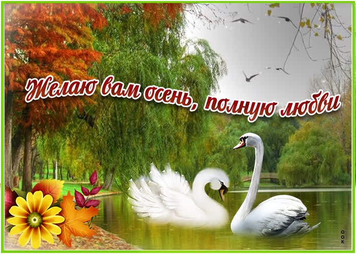 Открытка божья коровка принесёт удачу
