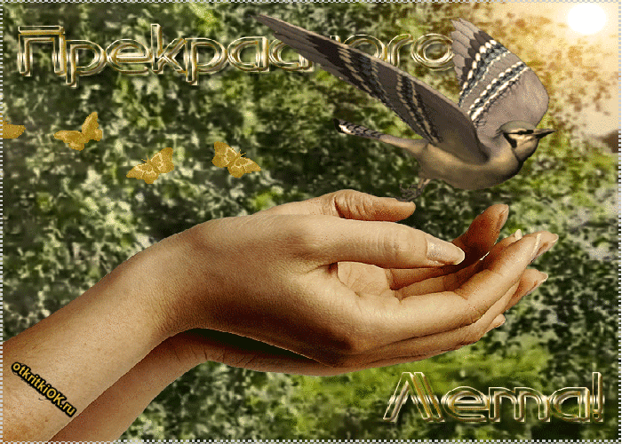 Открытка природа лето открытка