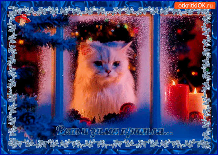 Картинка пришла снежная зима