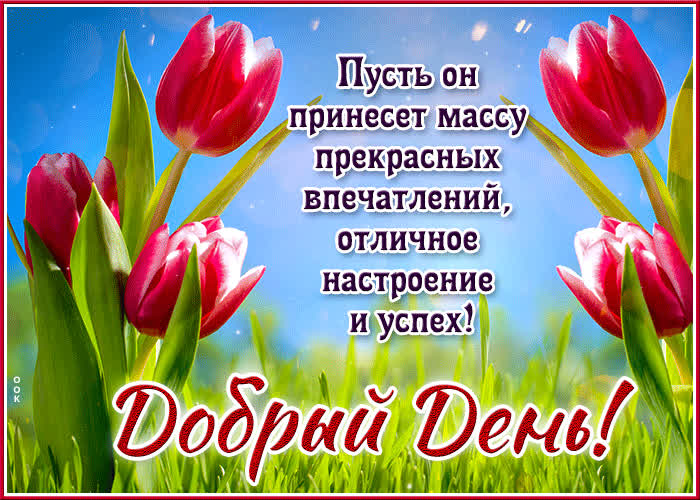 Picture притягательная весенняя гиф-открытка добрый день