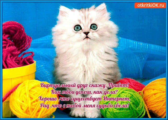 Картинка привет мой виртуальный друг