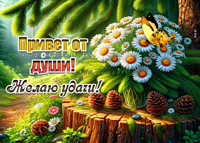 Picture привет от души! желаю удачи