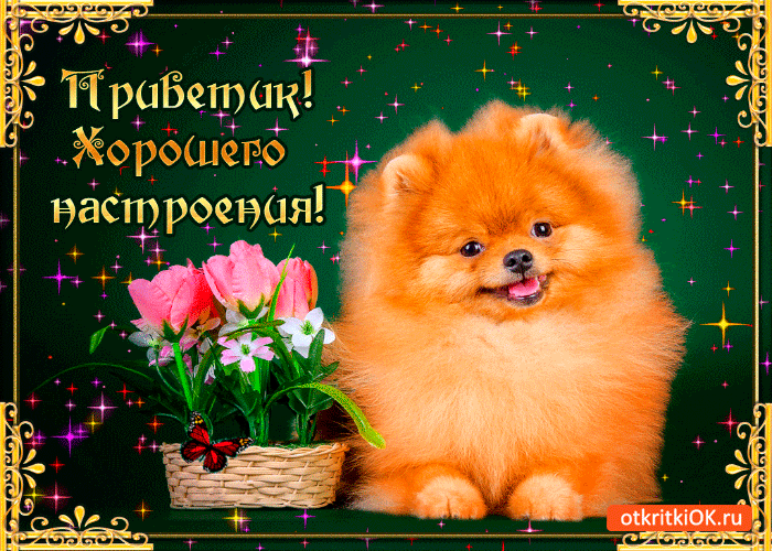 Открытка приветик хорошего настроения