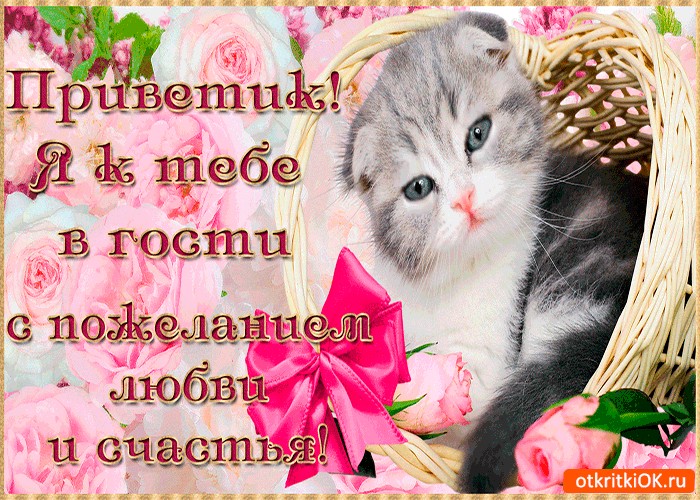 Картинка приветик я к тебе в гости
