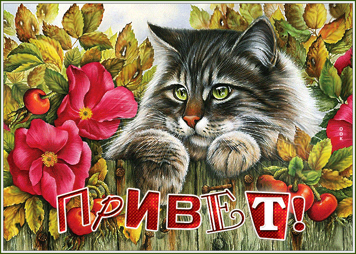 Картинка приветик! хорошего настроения сегодня и всегда