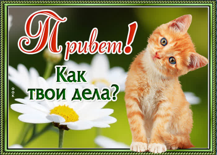 Картинка приветик -улыбнись в ответик