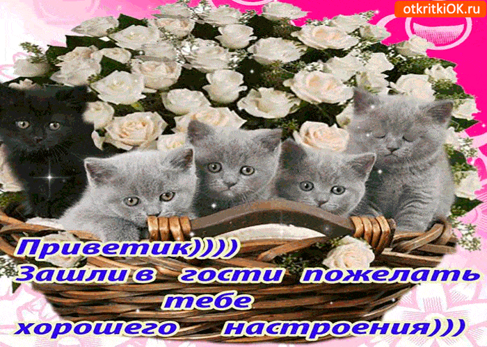 Картинка приветик! зашли в гости настроения поднимать