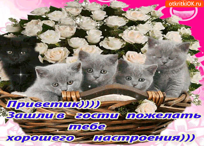 Картинка приветик! зашли в гости настроения поднимать