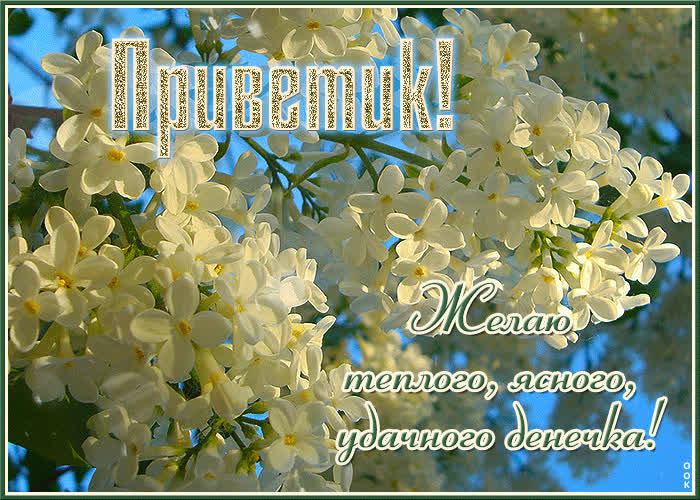 Picture приветик! желаю теплого, ясного, удачного денечка!